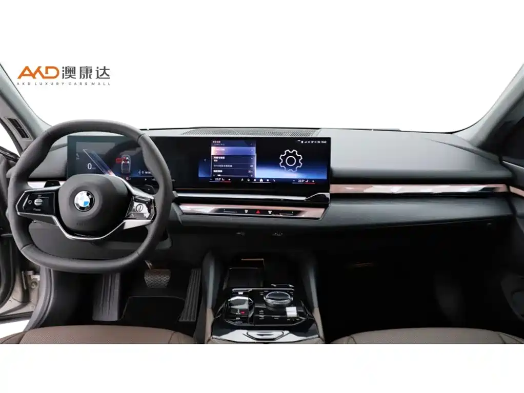 BMW 5 Series 5 2024 530Li Lead Luxury