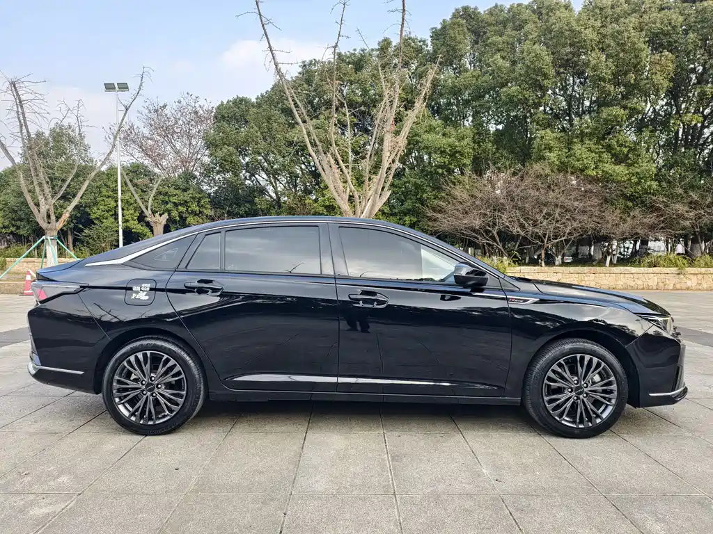 DONGFENG YI HYUN MAX