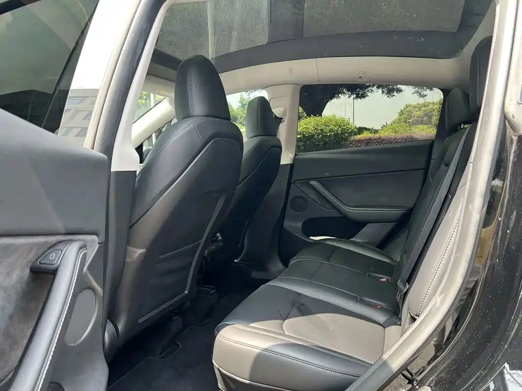 Tesla Model Y — миниатюра 9