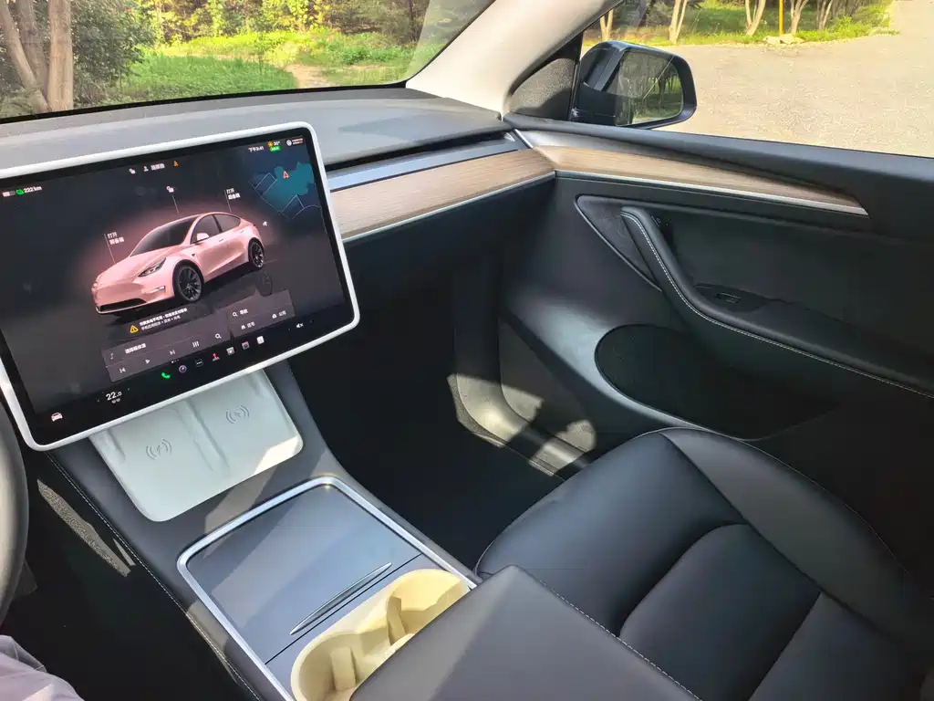Tesla Model Y — миниатюра 21