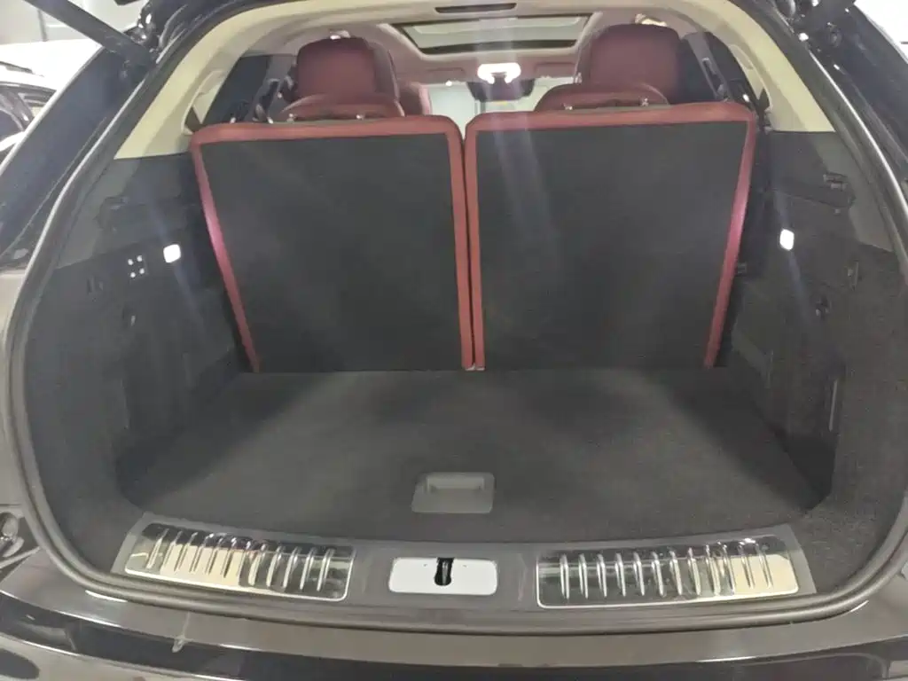 Hongqi Hongqi E-HS9 — миниатюра 19