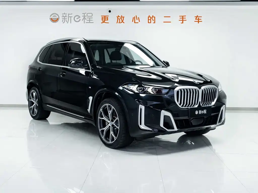 BMW X5 — миниатюра 2