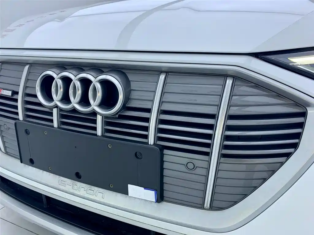 Audi e-tron 2021 50 quattro Luxury