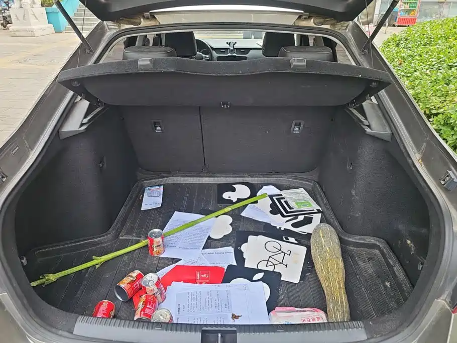 Skoda Octavia — миниатюра 4