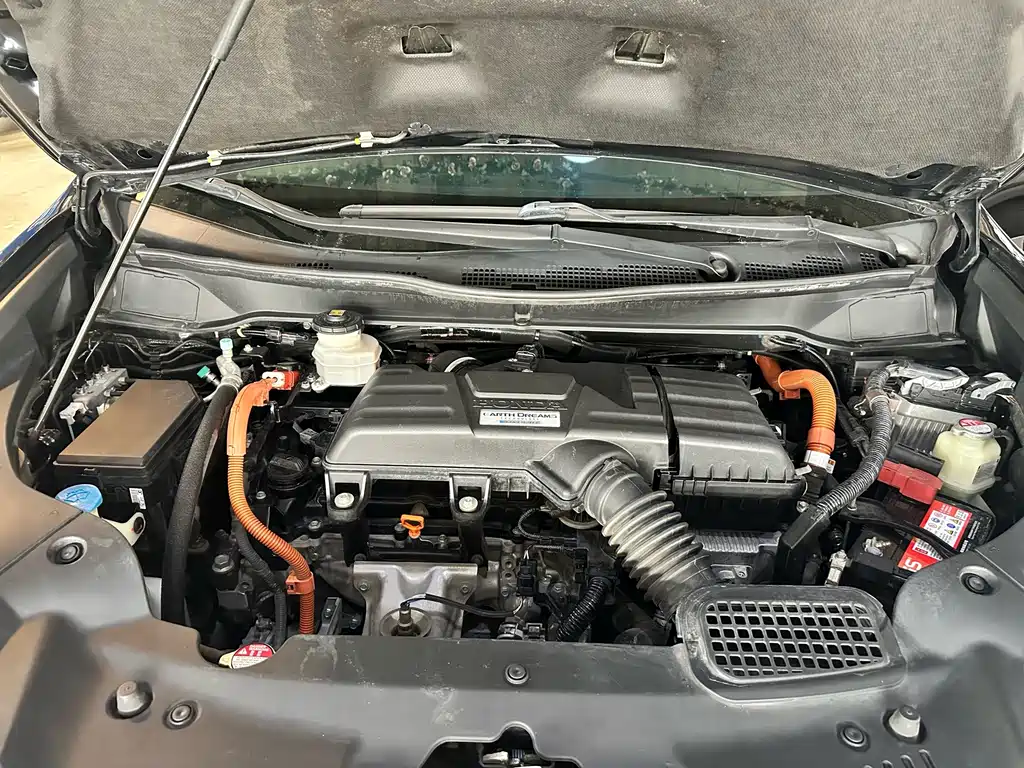 Honda Elysion 2.0L Hybrid Supreme Edition, фото 19