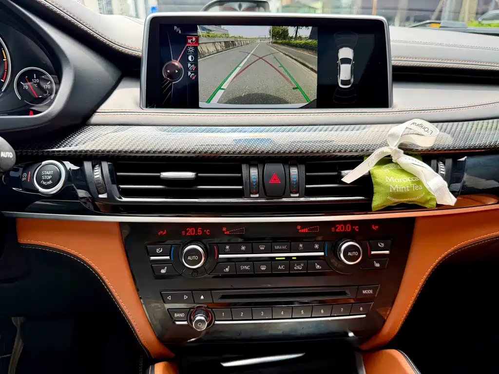 BMW X6 M X6 M, фото 19