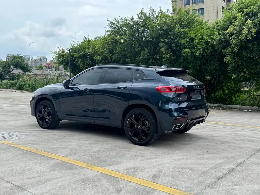 WEI PAI WEI BRAND VV7