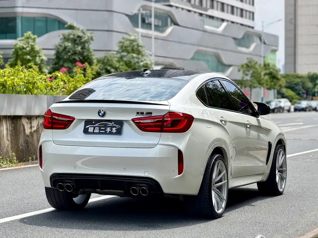 BMW X6 M X6 M, фото 6