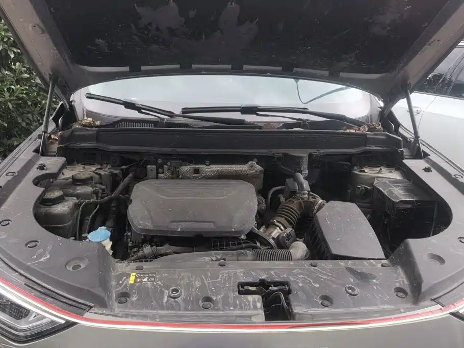 Haval Xiaolong MAX — миниатюра 10