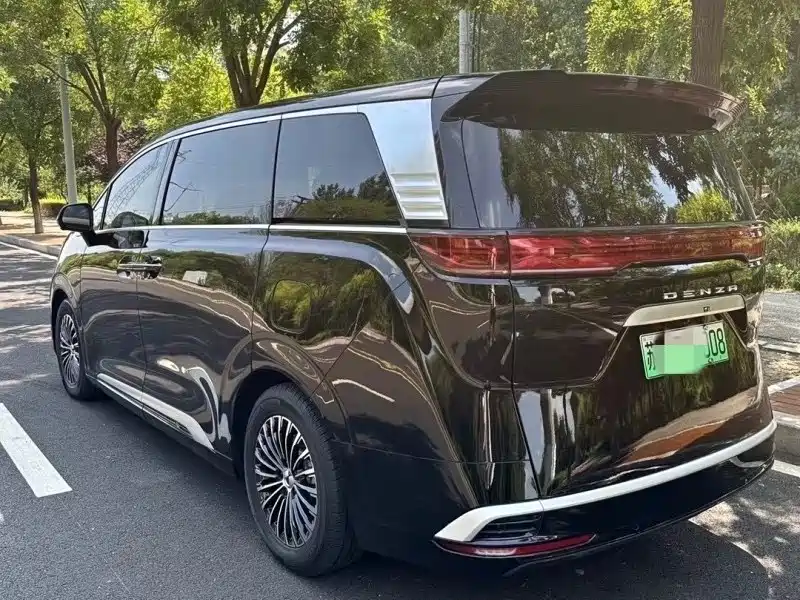 Denza Denza D9 — миниатюра 2