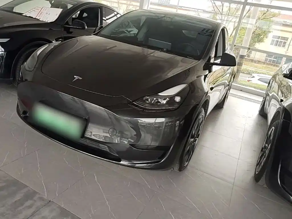 Tesla Model Y — миниатюра 2