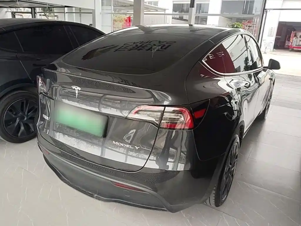 Tesla Model Y — миниатюра 7