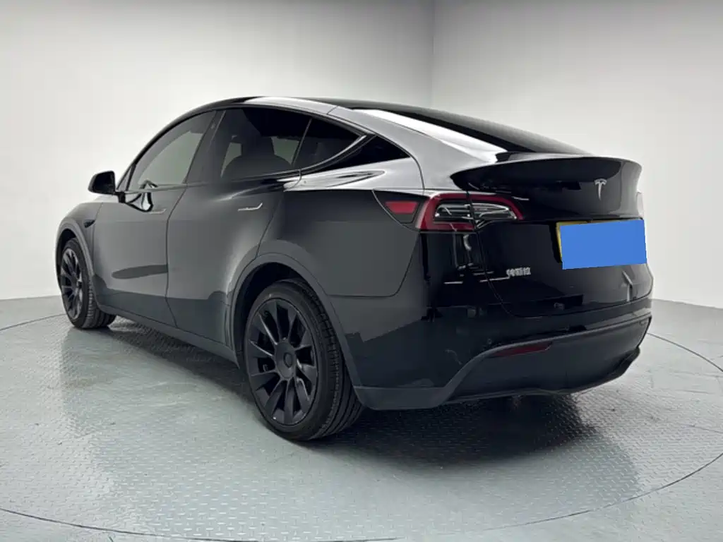 Tesla Model Y — миниатюра 6