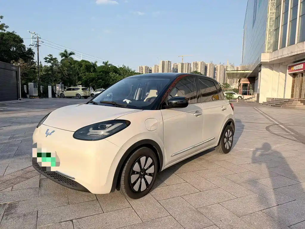 Wuling Bingo
