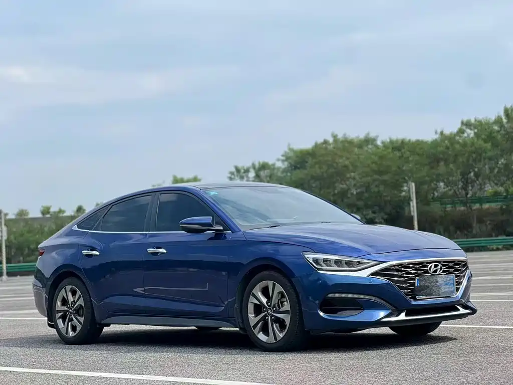 Hyundai Fista — миниатюра 2