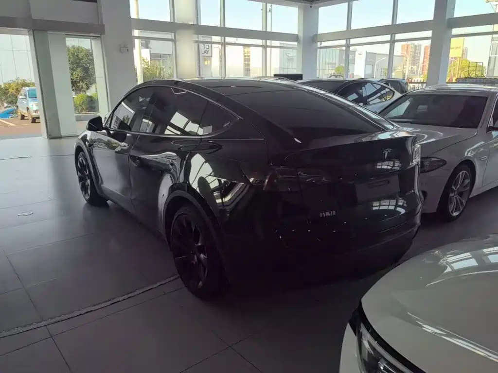 Tesla Model Y — миниатюра 5