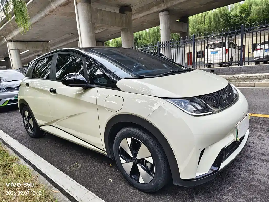 BYD Dolphin — миниатюра 3