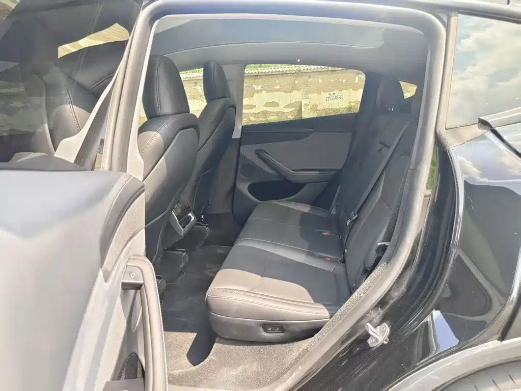 Tesla Model Y — миниатюра 9
