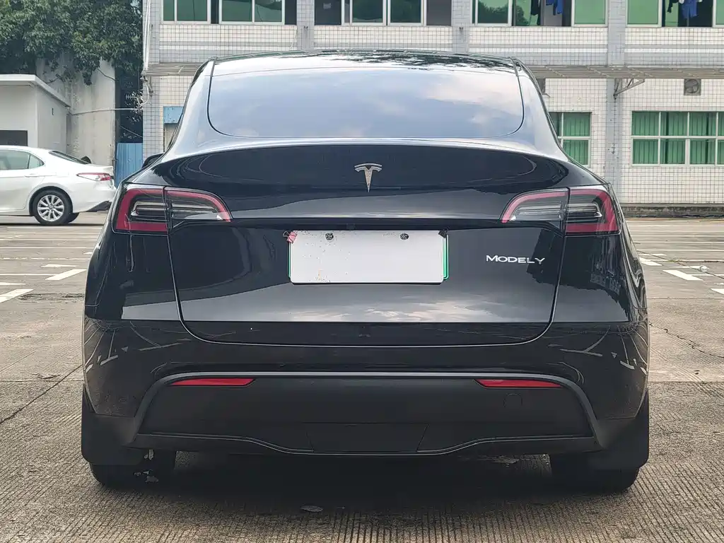 Tesla Model Y — миниатюра 15