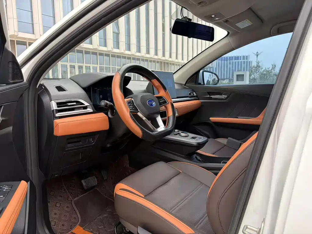 BYD e2 — миниатюра 4