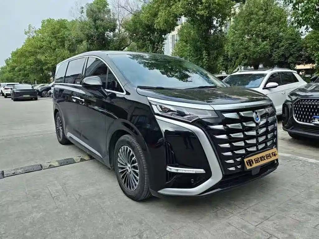 Denza Denza D9 — миниатюра 5