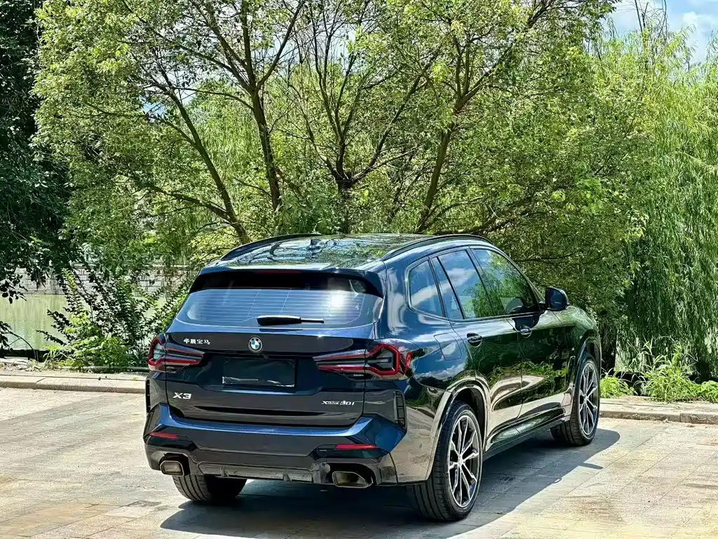 BMW X3 — миниатюра 8