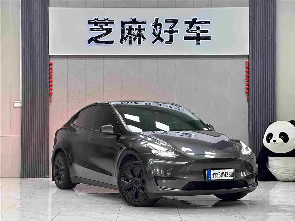Tesla Model Y — миниатюра 3