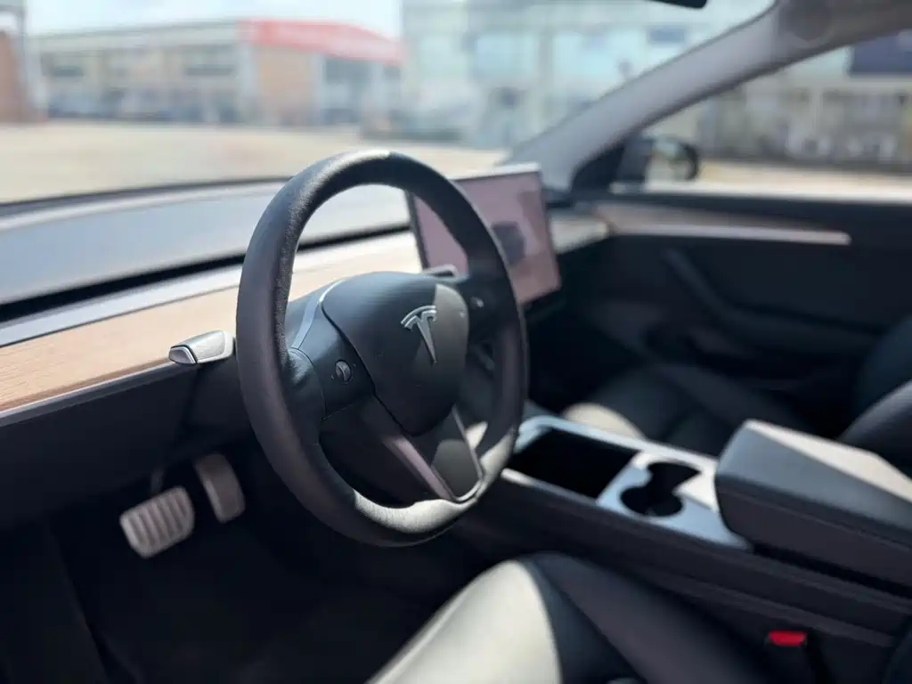Tesla Model 3 — миниатюра 6