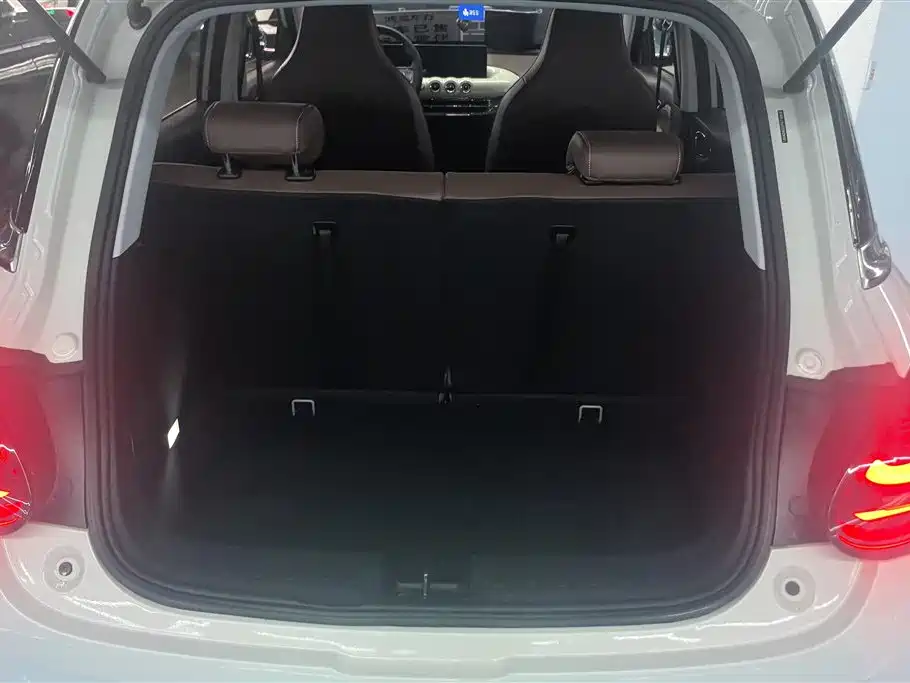 Wuling Binguo 2023 333km +