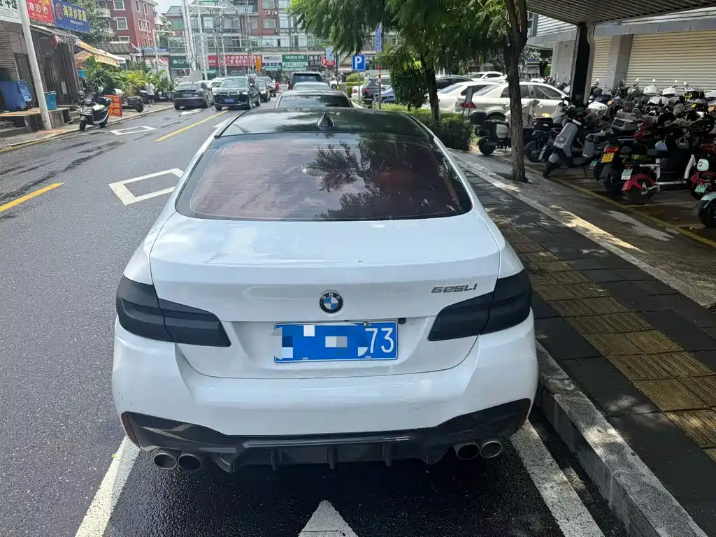 BMW 5 Series — миниатюра 5