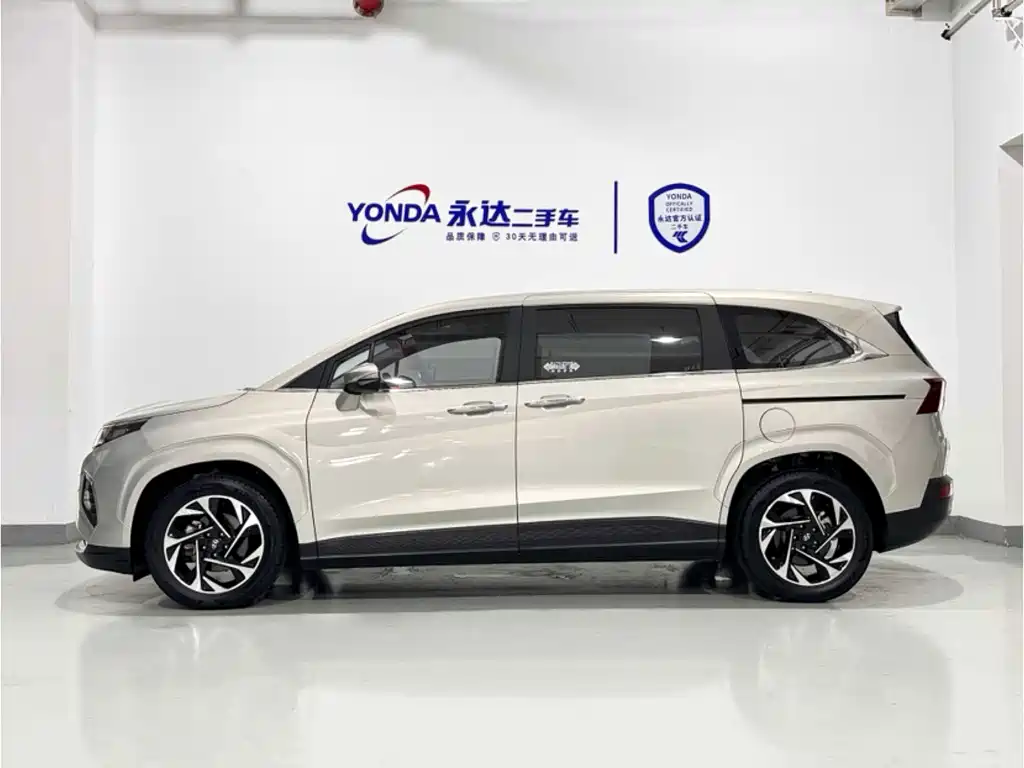Hyundai Custo — миниатюра 4