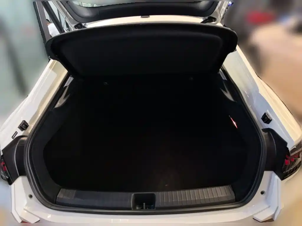 Volkswagen Lamando — миниатюра 24