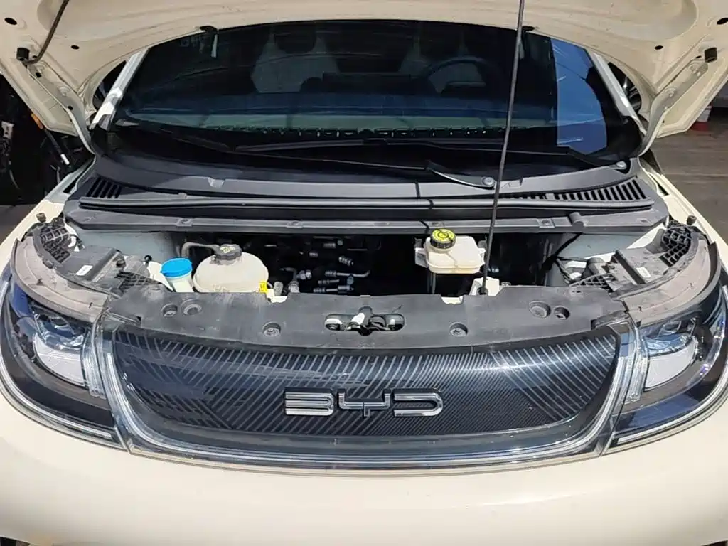 BYD Dolphin — миниатюра 16