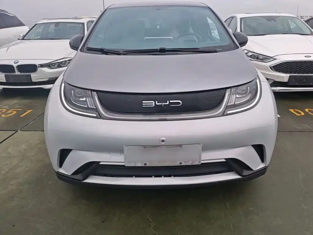 BYD Dolphin — миниатюра 3