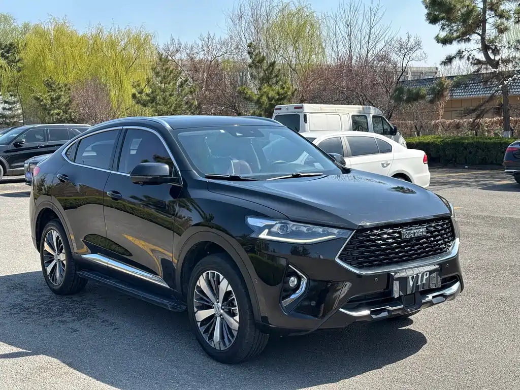 HAVAL F7X