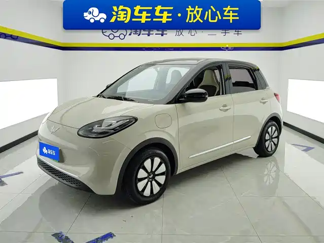 WULING WULING BINGGUO 2024
