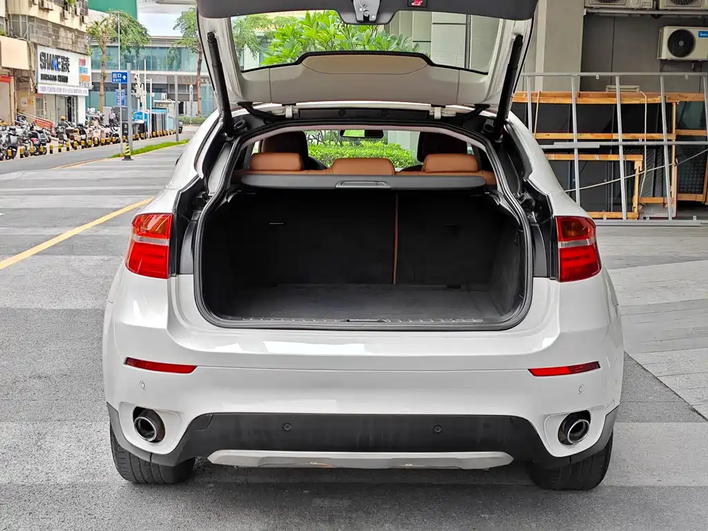 BMW X6 — миниатюра 19