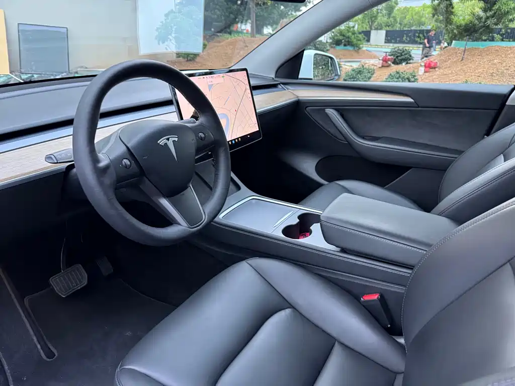 Tesla Model Y — миниатюра 4