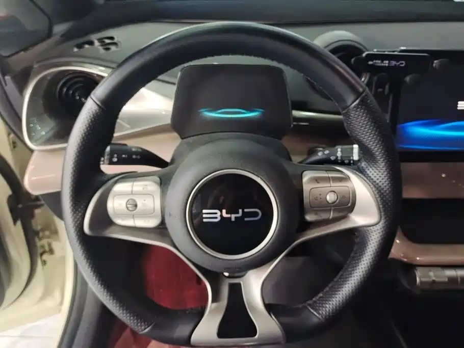 BYD Dolphin — миниатюра 15