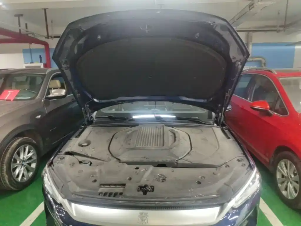BYD Qin PLUS — миниатюра 20
