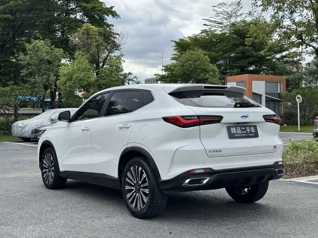 Oshan Oushang X5 — миниатюра 19