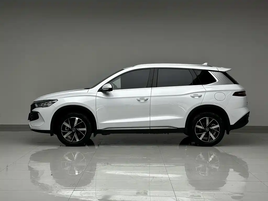 BYD Pro New Energy — миниатюра 6