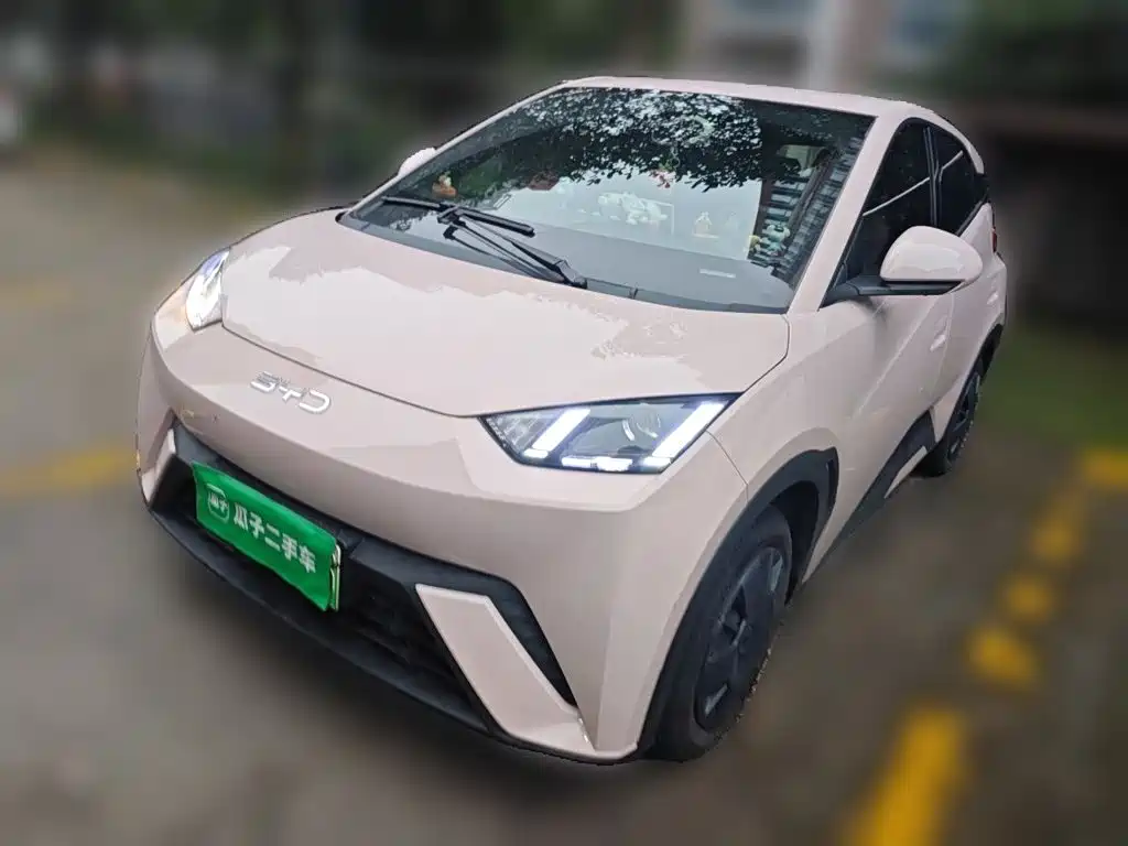 BYD Seagull