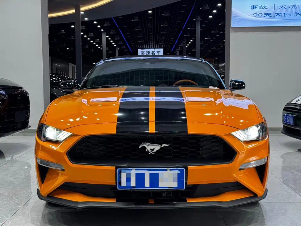 Ford Mustang — миниатюра 2