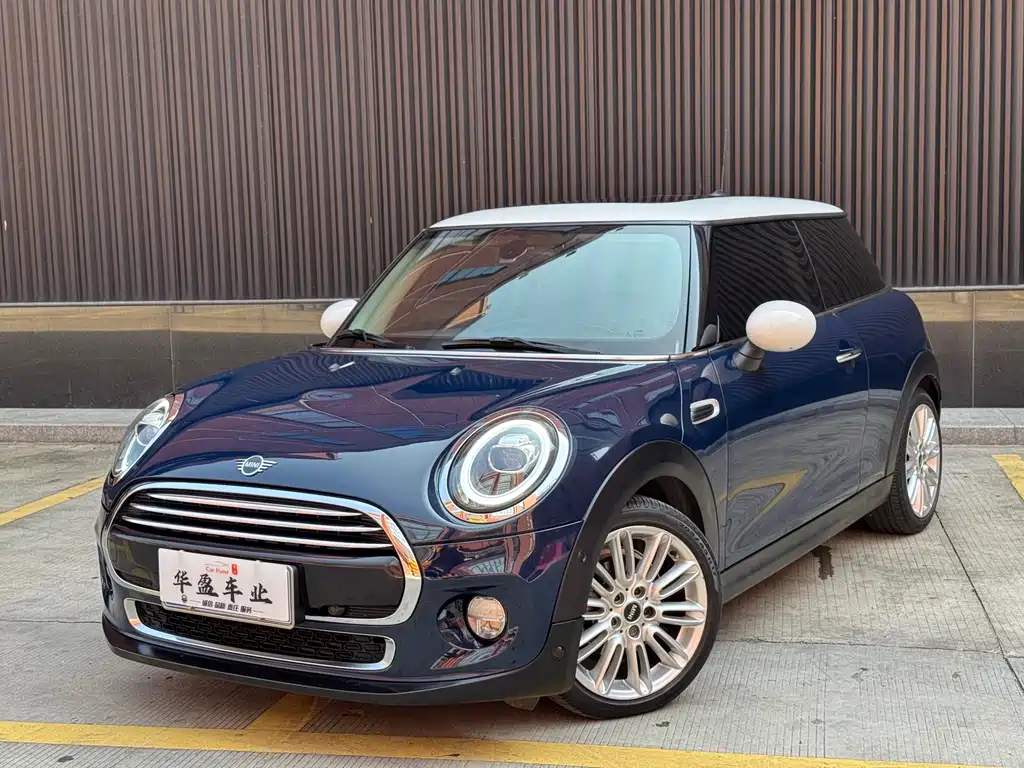 Mini Mini 2019