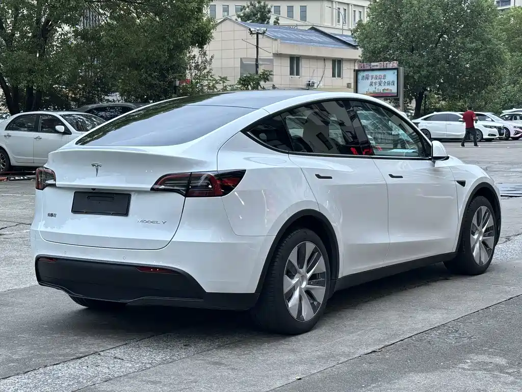 Tesla Model Y — миниатюра 14