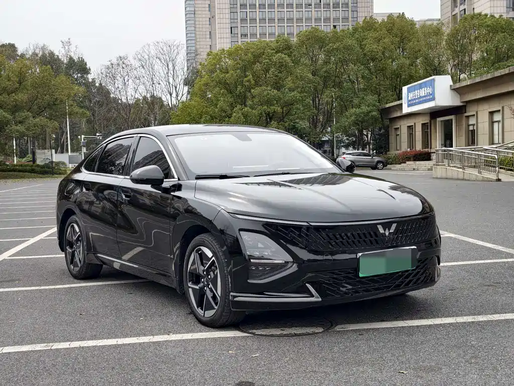 WULING WULING STARLIGHT