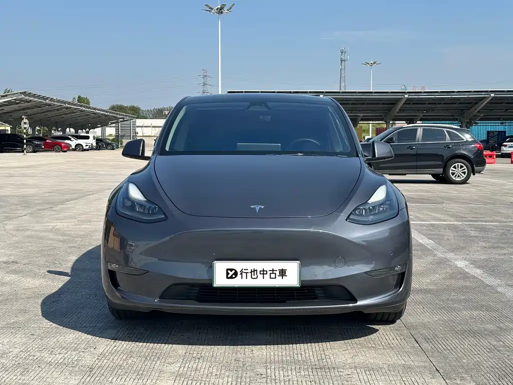 Tesla Model Y — миниатюра 2