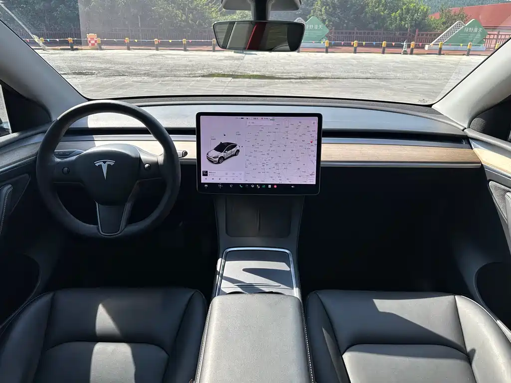 Tesla Model Y — миниатюра 10