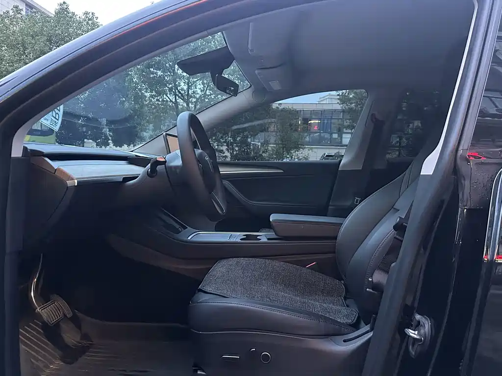 Tesla Model Y — миниатюра 4